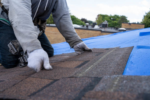 Best Metal Roofing Contractor  in West Branch, IA