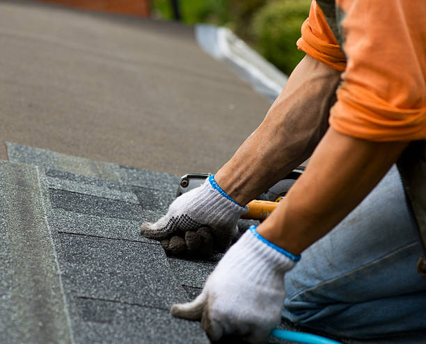 Best Roof Gutter Cleaning  in West Branch, IA