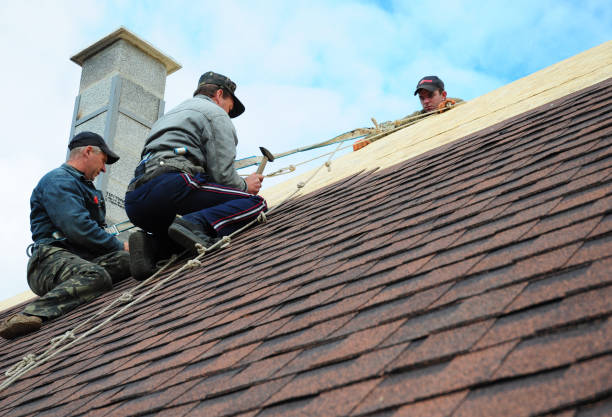 Best Residential Roofing Contractor  in West Branch, IA